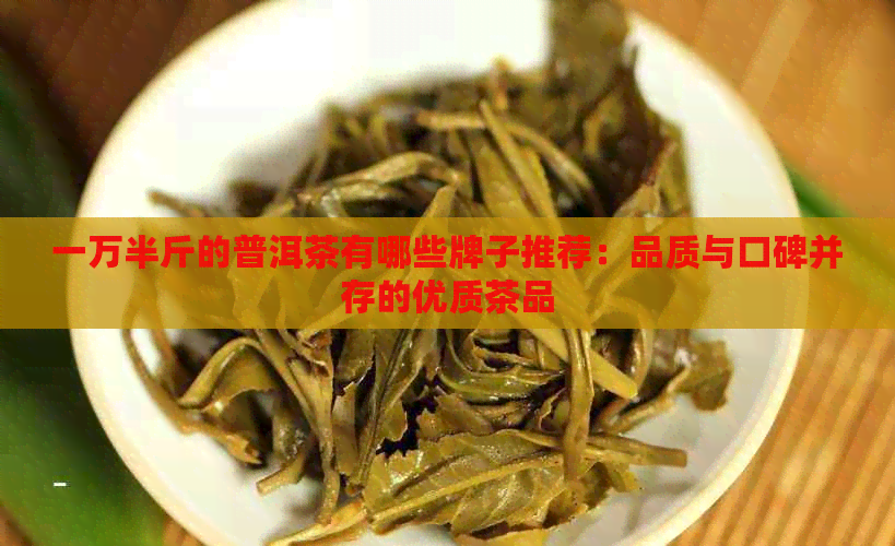 一万半斤的普洱茶有哪些牌子推荐：品质与口碑并存的优质茶品