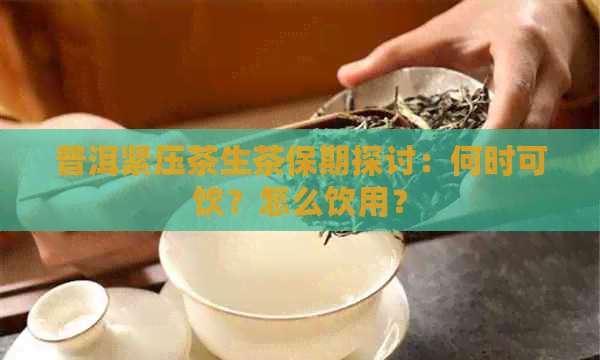 普洱紧压茶生茶保期探讨：何时可饮？怎么饮用？