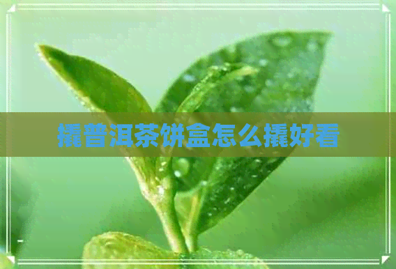 撬普洱茶饼盒怎么撬好看