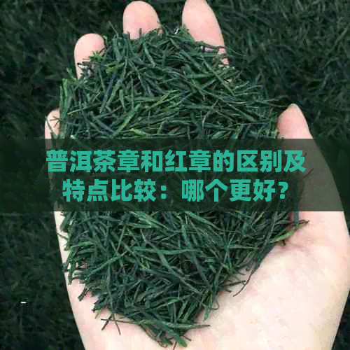 普洱茶章和红章的区别及特点比较：哪个更好？