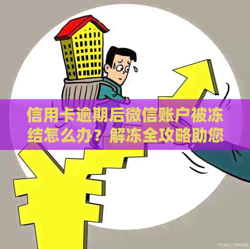 信用卡逾期后微信账户被冻结怎么办？解冻全攻略助您轻松恢复使用！