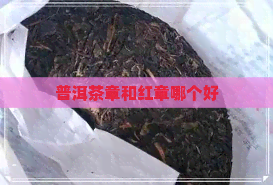 普洱茶章和红章哪个好