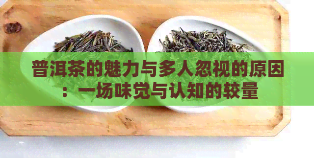 普洱茶的魅力与多人忽视的原因：一场味觉与认知的较量