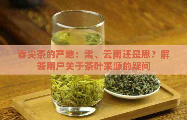 春尖茶的产地：肃、云南还是思？解答用户关于茶叶来源的疑问