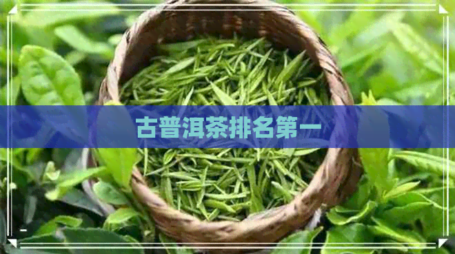 古普洱茶排名之一