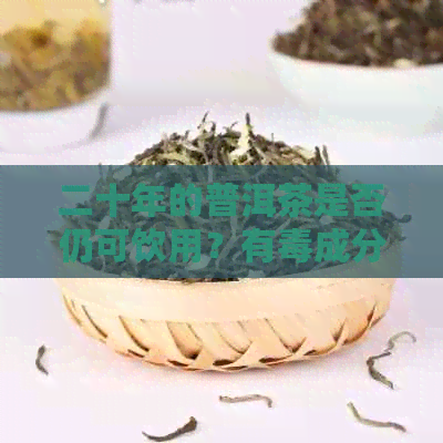 二十年的普洱茶是否仍可饮用？有成分吗？会导致中吗？