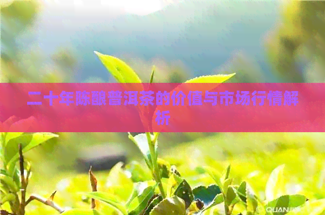 二十年陈酿普洱茶的价值与市场行情解析