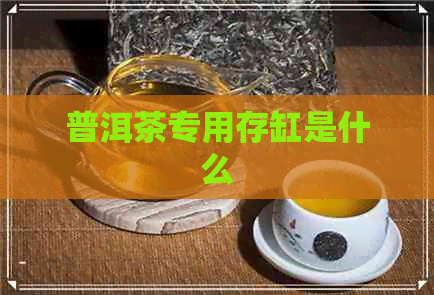 普洱茶专用存缸是什么