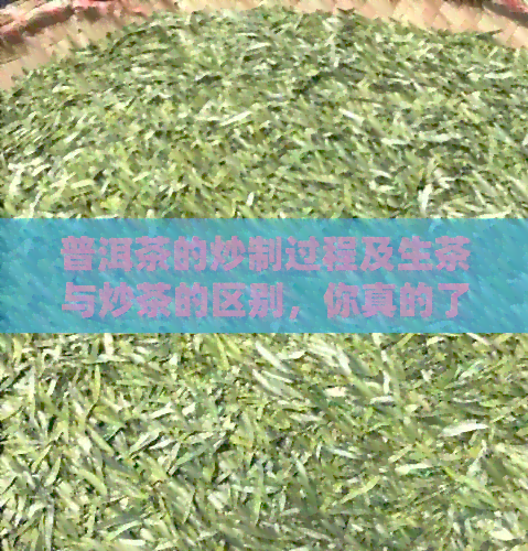 普洱茶的炒制过程及生茶与炒茶的区别，你真的了解吗？