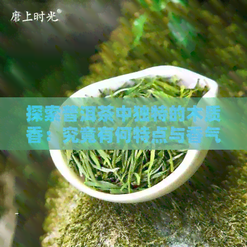 探索普洱茶中独特的木质香：究竟有何特点与香气？