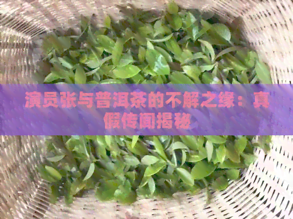 演员张与普洱茶的不解之缘：真假传闻揭秘