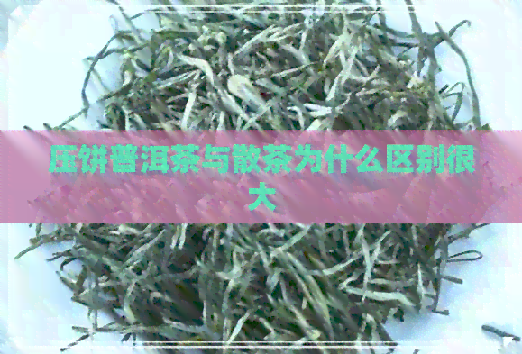 压饼普洱茶与散茶为什么区别很大