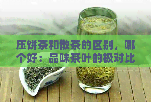 压饼茶和散茶的区别，哪个好：品味茶叶的极对比