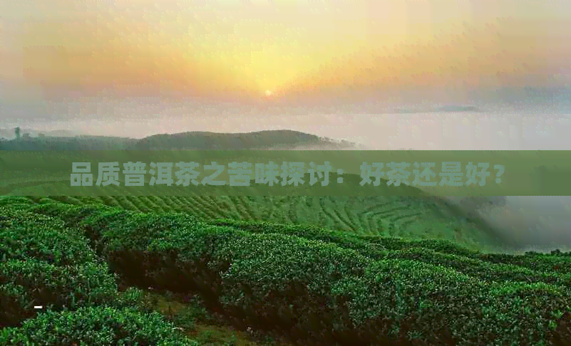 品质普洱茶之苦味探讨：好茶还是好？