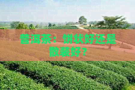 普洱茶：饼状好还是散装好？