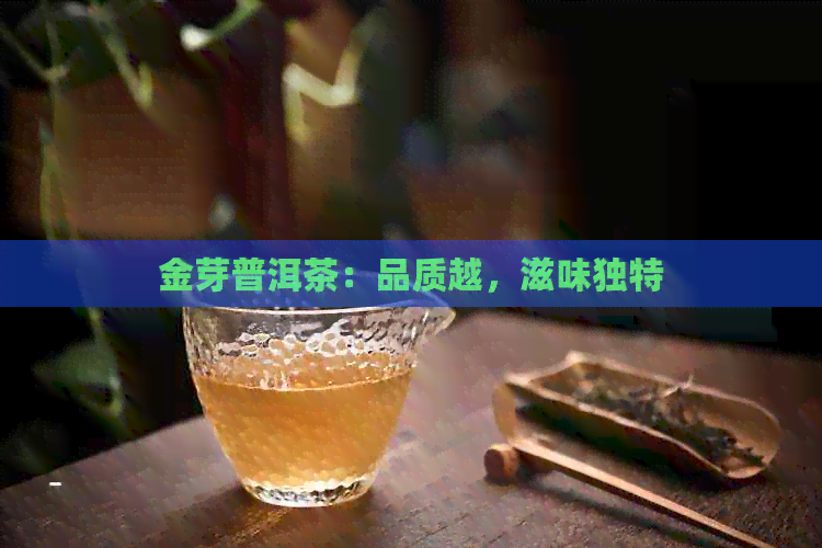 金芽普洱茶：品质越，滋味独特