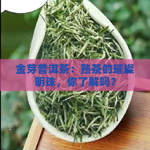 金芽普洱茶：熟茶的璀璨明珠，你了解吗？