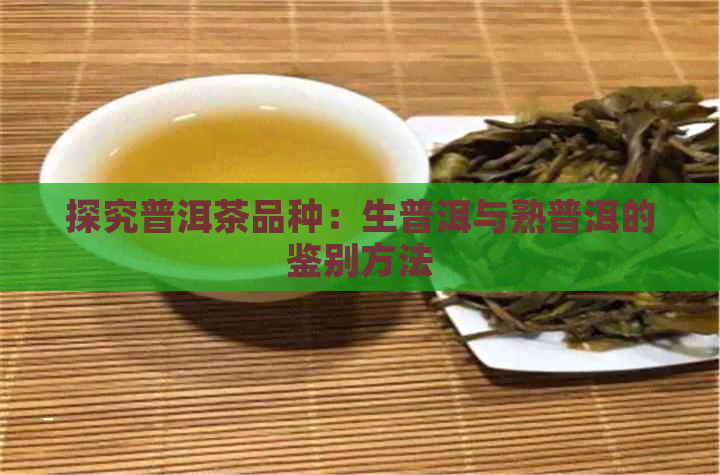 探究普洱茶品种：生普洱与熟普洱的鉴别方法