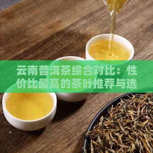 云南普洱茶综合对比：性价比更高的茶叶推荐与选购指南