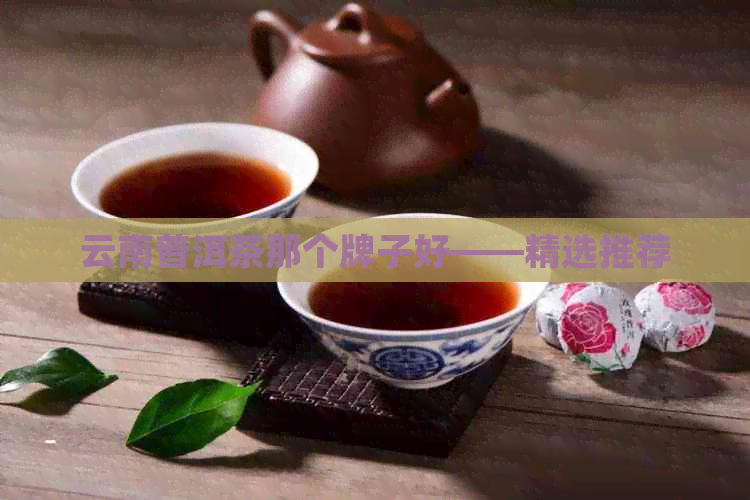 云南普洱茶那个牌子好——精选推荐