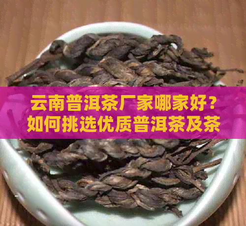 云南普洱茶厂家哪家好？如何挑选优质普洱茶及茶叶种类的全面指南