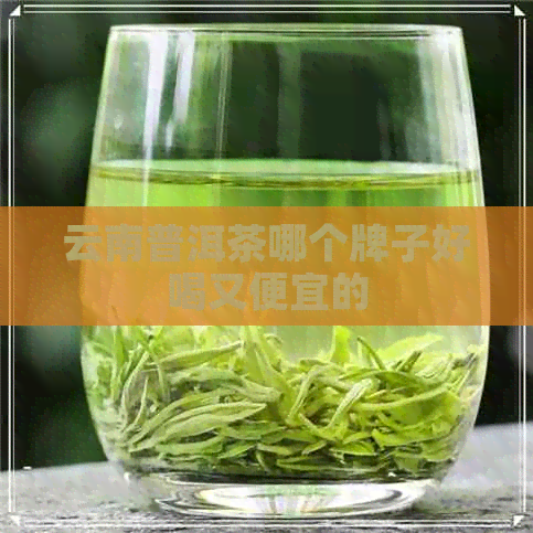 云南普洱茶哪个牌子好喝又便宜的