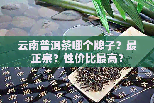 云南普洱茶哪个牌子？最正宗？性价比更高？