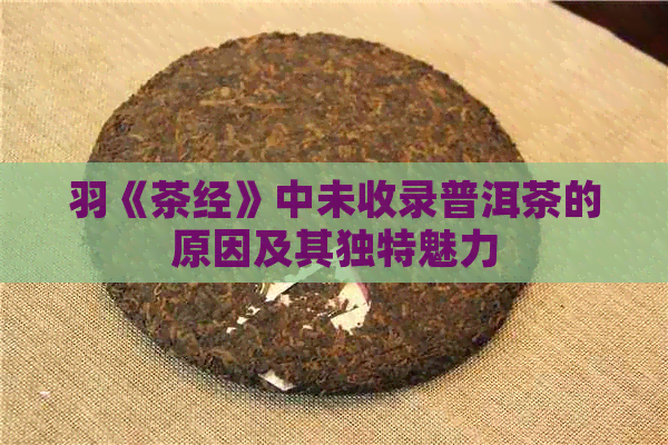 羽《茶经》中未收录普洱茶的原因及其独特魅力