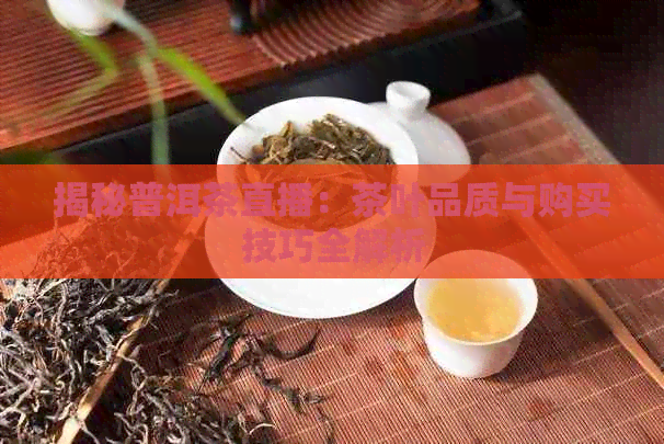 揭秘普洱茶直播：茶叶品质与购买技巧全解析