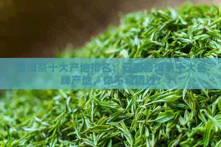 普洱茶十大产地排名：云南普洱茶十大名牌产地，你不可错过！