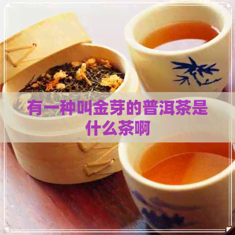 有一种叫金芽的普洱茶是什么茶啊