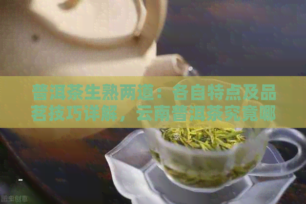 普洱茶生熟两道：各自特点及品茗技巧详解，云南普洱茶究竟哪个更好？