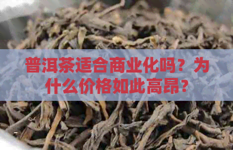 普洱茶适合商业化吗？为什么价格如此高昂？