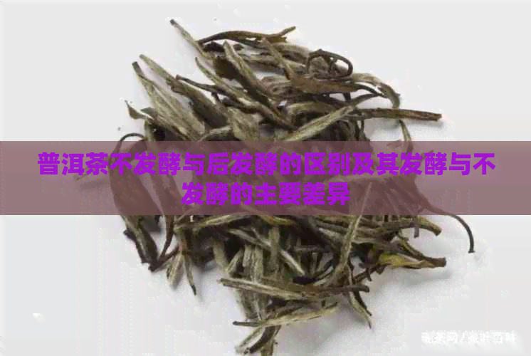 普洱茶不发酵与后发酵的区别及其发酵与不发酵的主要差异