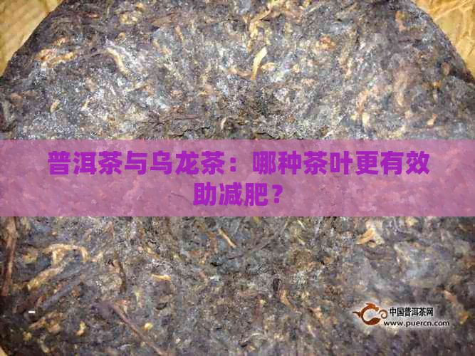 普洱茶与乌龙茶：哪种茶叶更有效助减肥？