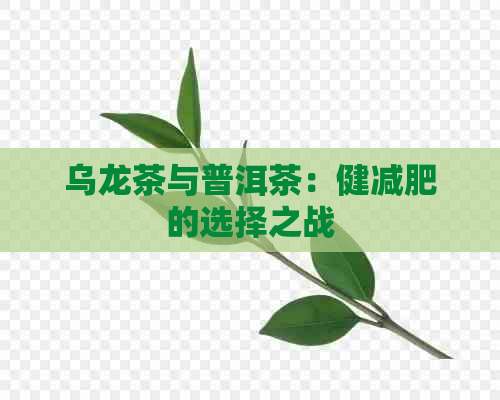 乌龙茶与普洱茶：健减肥的选择之战