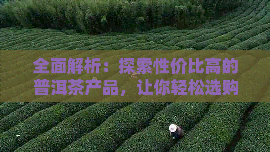 全面解析：探索性价比高的普洱茶产品，让你轻松选购优质茶品！