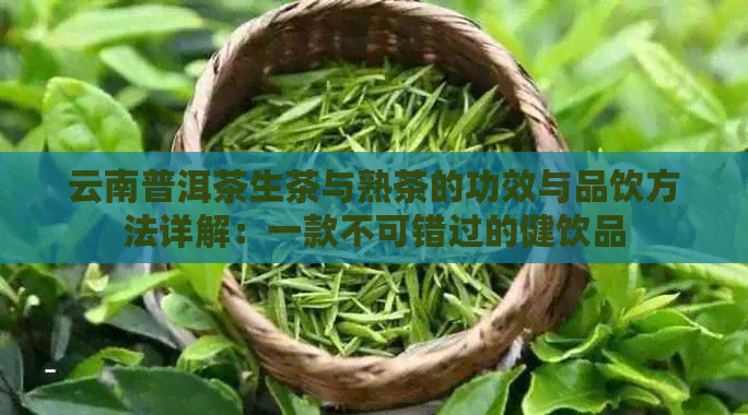 云南普洱茶生茶与熟茶的功效与品饮方法详解：一款不可错过的健饮品