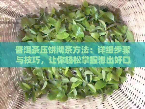 普洱茶压饼沏茶方法：详细步骤与技巧，让你轻松掌握泡出好口感