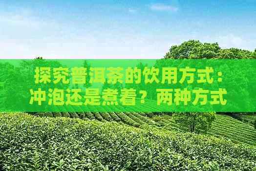 探究普洱茶的饮用方式：冲泡还是煮着？两种方式对比分析