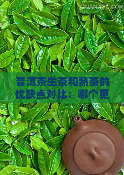 普洱茶生茶和熟茶的优缺点对比：哪个更适合您？