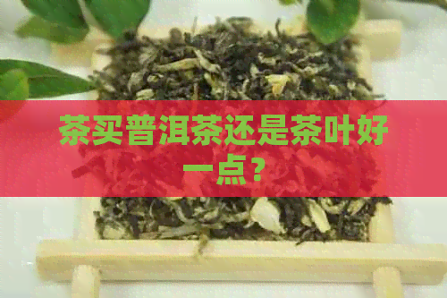 茶买普洱茶还是茶叶好一点？