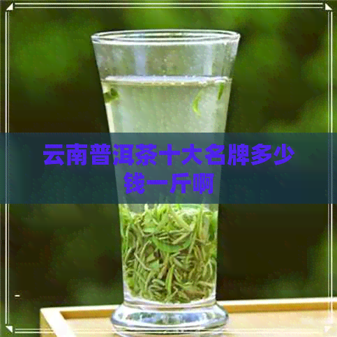 云南普洱茶十大名牌多少钱一斤啊