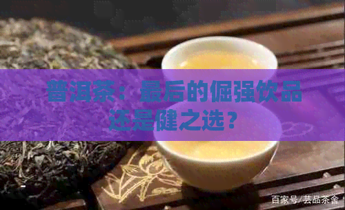 普洱茶：最后的倔强饮品还是健之选？