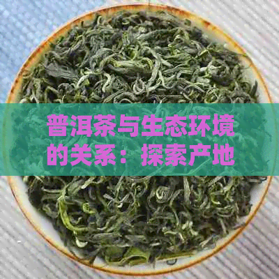 普洱茶与生态环境的关系：探索产地对茶叶品质的影响