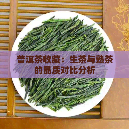 普洱茶收藏：生茶与熟茶的品质对比分析