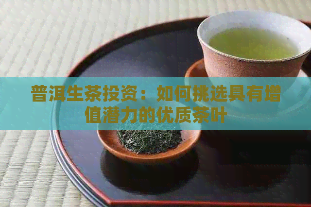 普洱生茶投资：如何挑选具有增值潜力的优质茶叶