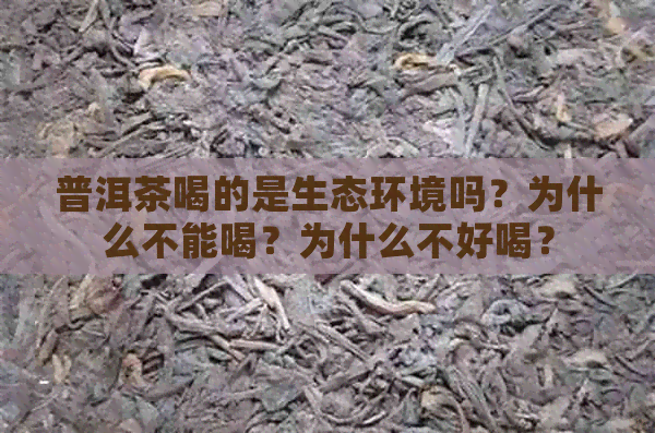 普洱茶喝的是生态环境吗？为什么不能喝？为什么不好喝？