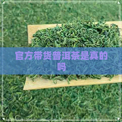 官方带货普洱茶是真的吗