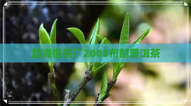 勐海恒茶厂2008布朗普洱茶